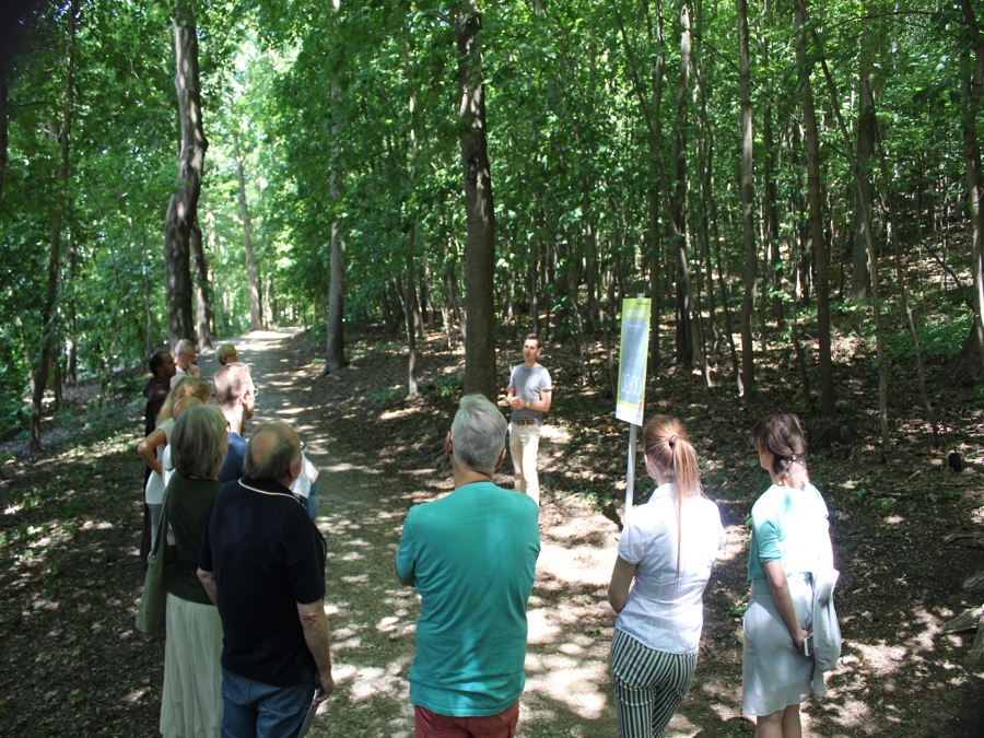 Eine Gruppe entdeckt gemeinsam eine Station des Wellbeing Pfads im Wald in Schwandorf.